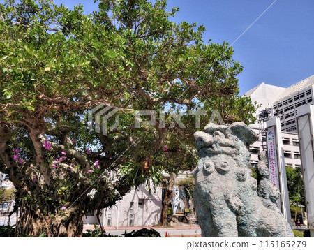 Okinawa Naha City Hall 7 Gajumaru and Shisa Okinawa Naha City Hall 7 Gajumaru and Shisa 115165279