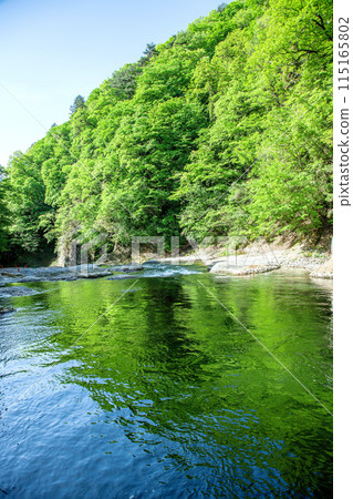 Green flow Green flow 115165802