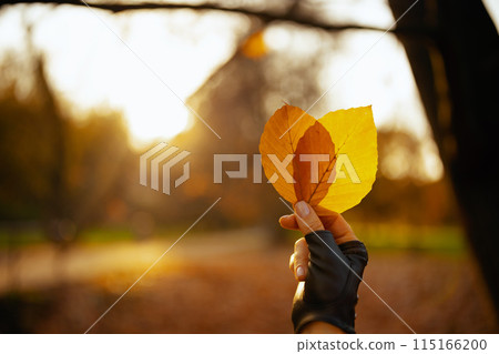 Closeup on woman in red hat with autumn leafs and scarf Closeup on woman in red hat with autumn leafs and scarf 115166200