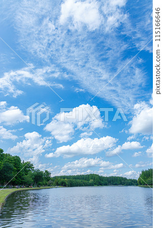 Summer blue sky and white clouds 115166646