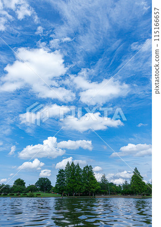 Summer blue sky and white clouds Summer blue sky and white clouds 115166657