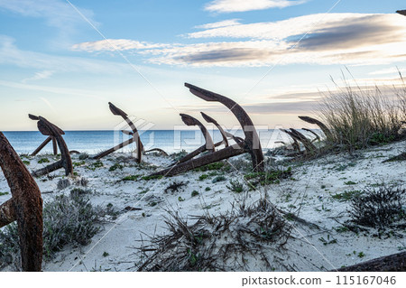Rusty old anchors on the beach at the Anchor Cemetary graveyard at Praia do Barril beach in Tavira, Algarve, Portugal Rusty old anchors on the beach at the Anchor Cemetary graveyard at Praia do Barril beach in Tavira, Algarve, Portugal 115167046