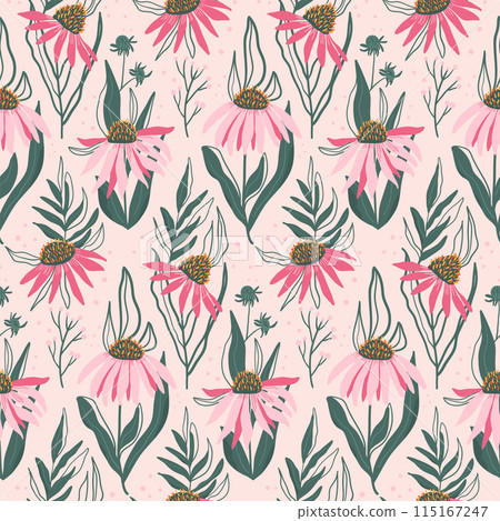 Seamless pattern featuring stylized pink Echinacea purpurea. Purple coneflowers light pink repeat background. Vector flat hand drawn illustration. Seamless pattern featuring stylized pink Echinacea purpurea. Purple coneflowers light pink repeat background. Vector flat hand drawn illustration. 115167247