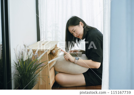pet care concept with owner during read book and play with british cat in livingroom 115167739