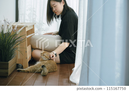 pet care concept with owner during read book and play with british cat in livingroom pet care concept with owner during read book and play with british cat in livingroom 115167750