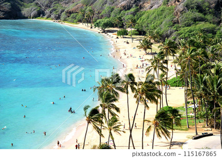 恐龍灣海灘 115167865