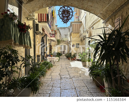 Street in an alley of the medieval town 115168384