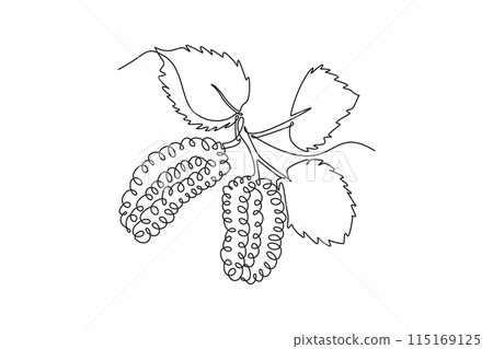 Single continuous line drawing of whole healthy organic mulberries orchard logo identity. Fresh berries fruitage concept for fruit garden icon. Dynamic one line draw graphic design vector illustration 115169125