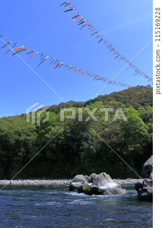 Shimanto River: Carp streamers ferrying across the river (Tokawa, Shimanto Town, Kochi Prefecture) Shimanto River: Carp streamers ferrying across the river (Tokawa, Shimanto Town, Kochi Prefecture) 115169228