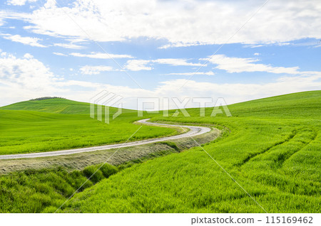 A winding dirt road runs among hills with green lush grass against a blue sky Horizontal photo A winding dirt road runs among hills with green lush grass against a blue sky Horizontal photo 115169462