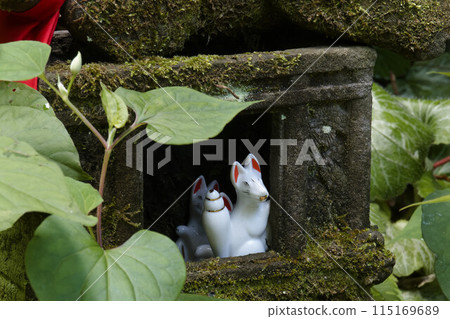 Inari watches over us anxiously from the shrine. Inari watches over us anxiously from the shrine. 115169689