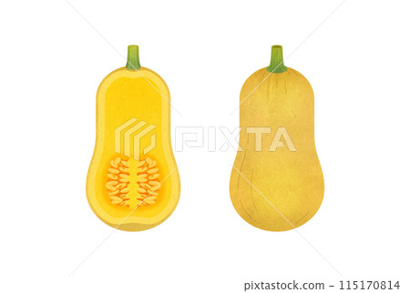 黃油堅果南瓜 黃油堅果南瓜 115170814