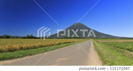 Mount Yotei and patchwork fields as seen from Koushin, Kyogoku-cho, Hokkaido 115171097