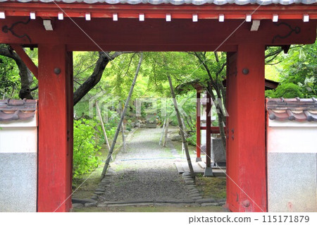 初夏的高野山真言宗 - 漫步三輪山新新長寺 44（岐阜市） 115171879
