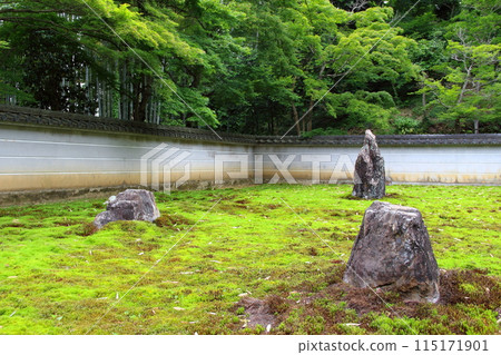 Early summer Koyasan Shingon sect walk around Miwayama Shinshinchoji Temple 28 (Gifu City) 115171901