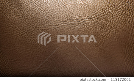 皮革紋理 115172001