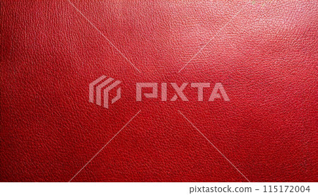 皮革紋理 115172004