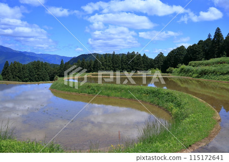 The beautiful curves of the footpaths along the rice terraces of Yoshinobu (Motoyama Town, Kochi Prefecture) The beautiful curves of the footpaths along the rice terraces of Yoshinobu (Motoyama Town, Kochi Prefecture) 115172641
