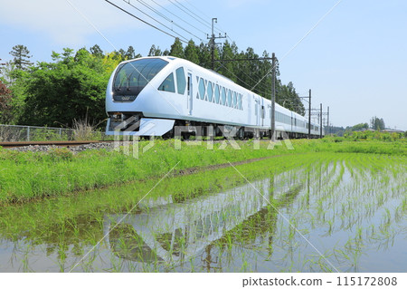 A new face that shines in Sanaeda A new face that shines in Sanaeda 115172808