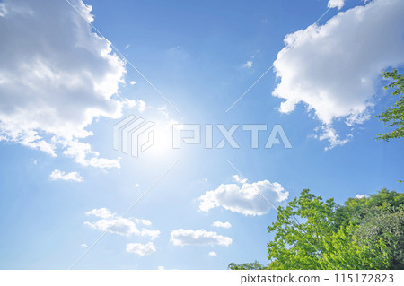 初夏的雲朵和樹木 初夏的雲朵和樹木 115172823