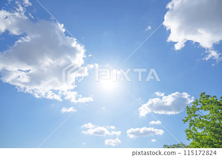 初夏的雲朵和樹木 115172824