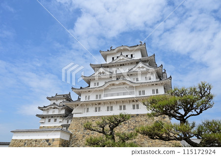 從備前丸看到的大天守閣、西小天守閣(世界文化遺產姬路城)和松樹 從備前丸看到的大天守閣、西小天守閣(世界文化遺產姬路城)和松樹 115172924