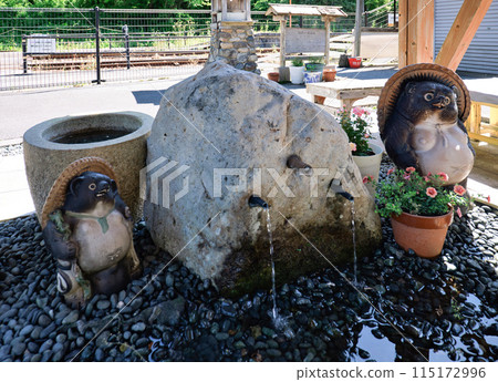 <島根縣>出雲坂根站生命延長水和浣熊雕像 115172996