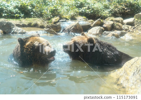 Sahoro Resort Bear Mountain, Hokkaido 115173091