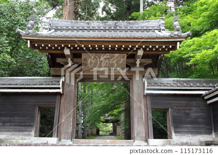 初夏漫步臨濟宗妙心寺大智寺25（岐阜市） 115173116