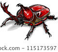 Beetle illustration 115173597