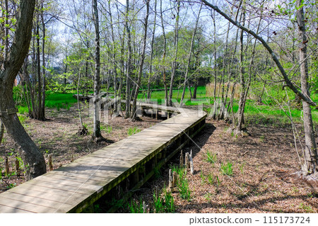 Spring, Tachikawa City, Tokyo, Yakawa Green Space Conservation Area 115173724