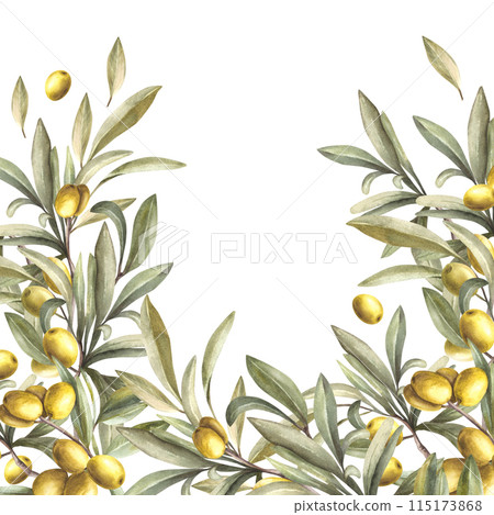 Olive tree branch with green leaves and ripe berries. Watercolor banner, template hand drawn food illustration. Botanical mediterranean clipart for card, food cosmetic label Isolated white background. Olive tree branch with green leaves and ripe berries. Watercolor banner, template hand drawn food illustration. Botanical mediterranean clipart for card, food cosmetic label Isolated white background. 115173868