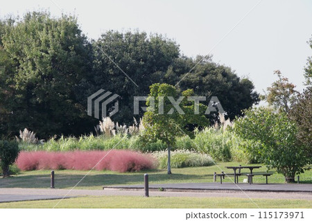秋花公園港南漫步11（愛知縣港南市） 115173971