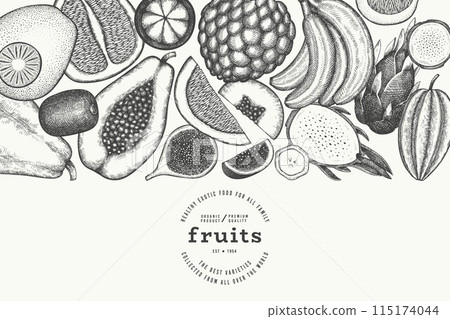 Tropical Fruit Design Template. Vector Hand Drawn Exotic Fruit Banner. Vintage Style Menu Illustration. 115174044
