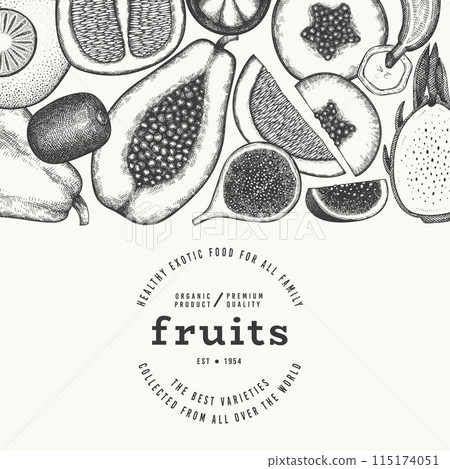 Tropical Fruit Design Template. Vector Hand Drawn Exotic Fruit Banner. Vintage Style Menu Illustration. Tropical Fruit Design Template. Vector Hand Drawn Exotic Fruit Banner. Vintage Style Menu Illustration. 115174051