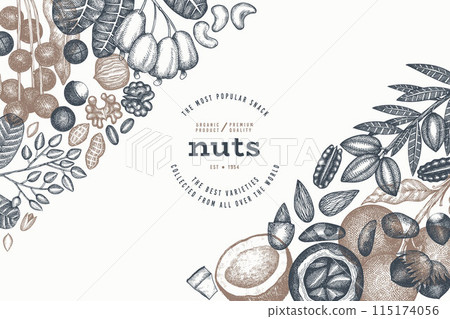 Hand Drawn Nuts Branch And Kernels  Template. Organic Seed Vector Design. Retro Nut Illustration. Engraved Style Botanical Banner. 115174056