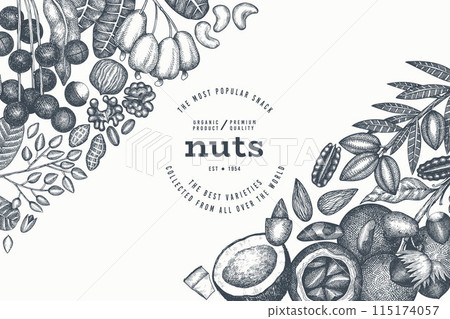 Hand Drawn Nuts Branch And Kernels Template. Organic Seed Vector Design. Retro Nut Illustration. Engraved Style Botanical Banner. Hand Drawn Nuts Branch And Kernels Template. Organic Seed Vector Design. Retro Nut Illustration. Engraved Style Botanical Banner. 115174057
