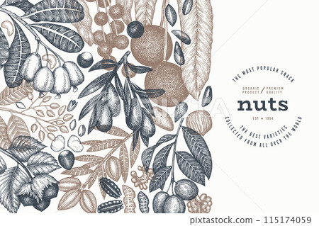 Hand Drawn Nuts Branch And Kernels  Template. Organic Seed Vector Design. Retro Nut Illustration. Engraved Style Botanical Banner. 115174059