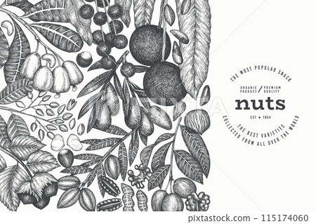 Hand Drawn Nuts Branch And Kernels  Template. Organic Seed Vector Design. Retro Nut Illustration. Engraved Style Botanical Banner. 115174060