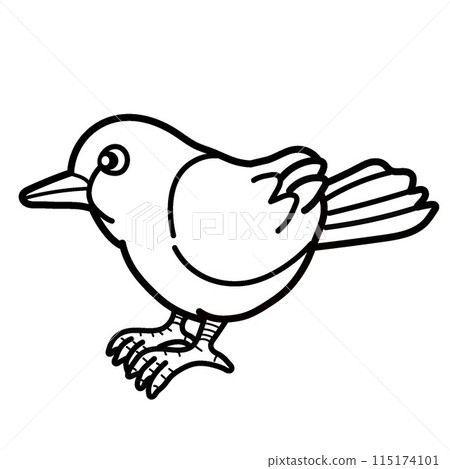 鳥圖 鳥圖 115174101