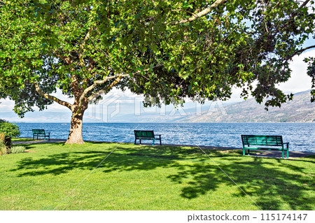 Recreation park along a waterfront pathway on Okanagan lake Recreation park along a waterfront pathway on Okanagan lake 115174147