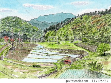 Rural early summer Rural early summer 115175567