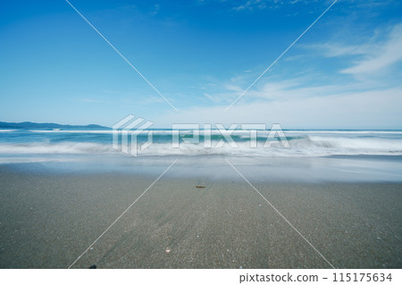 高知海灘博物館 115175634