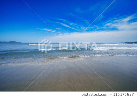 高知海灘博物館 115175657