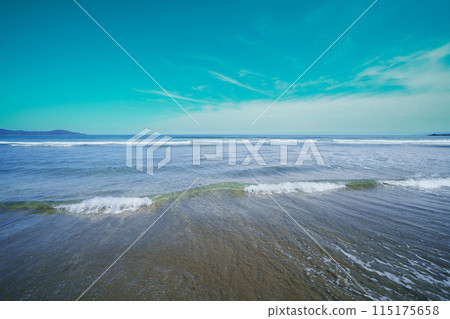 高知海灘博物館 115175658