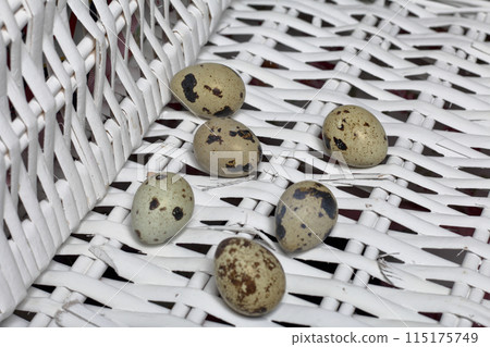 Quail eggs lie on the surface of a wicker vine. On a white background. 115175749