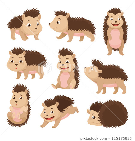Lovely hedgehogs. Cute funny wild forest animals. Prickly cartoon character in various poses. Vector isolated illustration 115175935