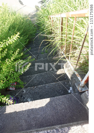 無人維護的樓梯 115175986