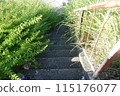 充滿綠意的花園 115176077