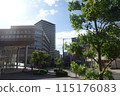 美麗清新的綠色植物的城市景觀 115176083